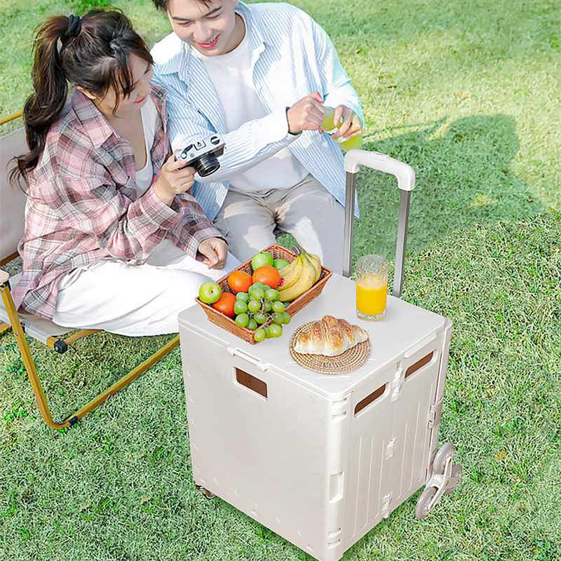 Lightweight Brushed Trolley Lu - Pull Cart Fold incelemesi ve fiyatı