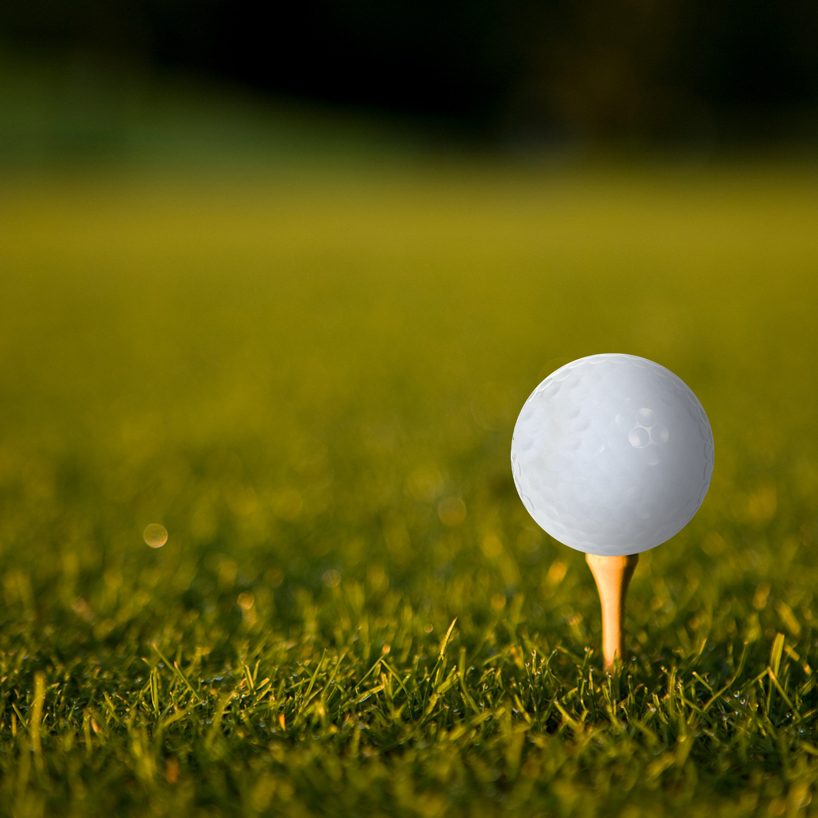 Indoor Practice Golf Balls Equ - Golf Equipment For Beginners incelemesi ve fiyatı